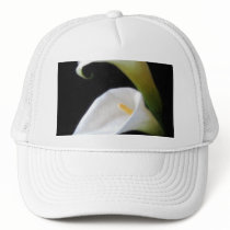 Elegant Calla Lily Flowers 4 Painterly Hats