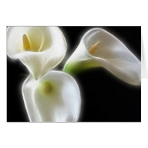 Elegant Calla Lily Flowers 6 Modern Card