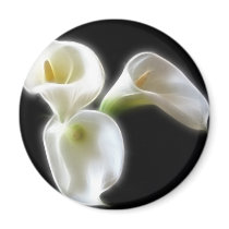 Elegant Calla Lily Flowers 6 Modern Refrigerator Magnets