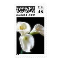Elegant Calla Lily Flowers 6 Modern Postage Stamps