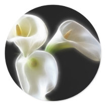 Elegant Calla Lily Flowers 6 Modern Round Stickers