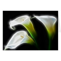 Elegant Calla Lily Flowers 7 Modern Greeting Cards