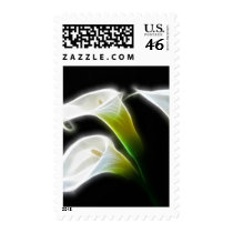 Elegant Calla Lily Flowers 7 Modern Postage