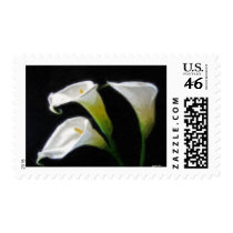 Elegant Calla Lily Flowers 7 Painterly Postage Stamps