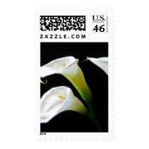 Elegant Calla Lily Flowers 7 Postage Stamp