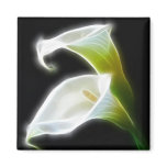 Elegant Calla Lily Flowers 8 Modern Refrigerator Magnets