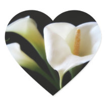 Elegant Calla Lily Flowers 9 Stickers