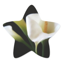 Elegant Calla Lily Flowers 9 Star Stickers