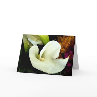 Elegant Calla Lily Greeting Card