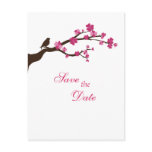 Elegant cherry blossom and bird save the date postcard