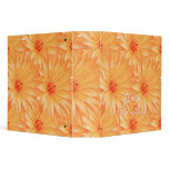 Elegant, classy orange lilly files &amp; albums vinyl binder