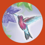 hummingbirds, hummingbird, flowers, floral, animal