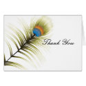 Elegant Feather Thank You Cards