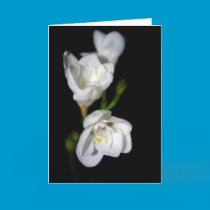 Elegant Flower ~ blank card cards
