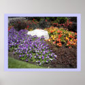 Elegant Flower Garden posters