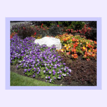 Elegant Flower Garden posters