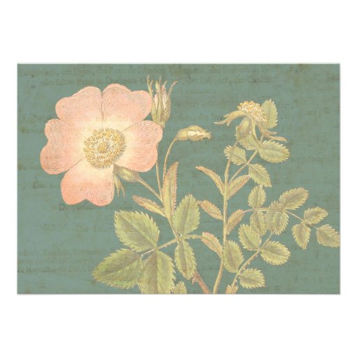 Elegant Gardener's 60th Birthday Vintage Rose Announcements