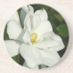 Elegant Gardenia Drink Coaster