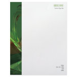 Elegant Green Abstract 3D Fantasy