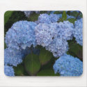 Elegant Hydrangeas mousepads