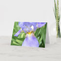 Elegant Iris Happiness cards