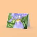 Elegant Iris Happiness cards