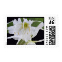 Elegant Ismene Lily postage by Everythingbridal Elegant Ismene Lily postage