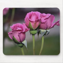 Elegant lavender rose 650 mousepads
