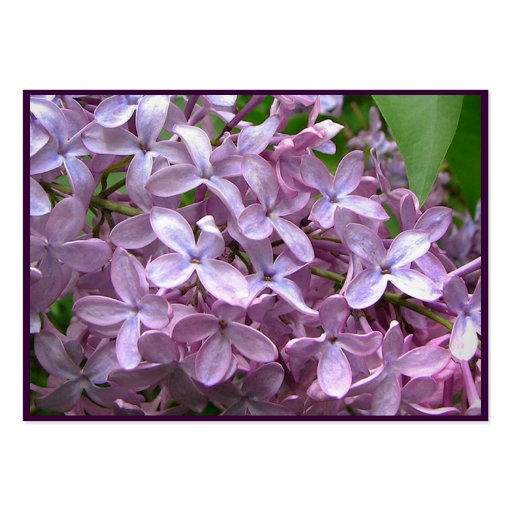 Elegant Lilacs Gardener Business Card Template (back side)