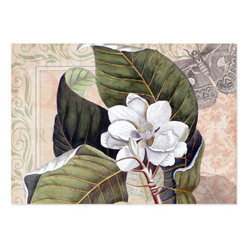 Elegant Magnolia Collage Vintage Garden Business Card Templates (back side)