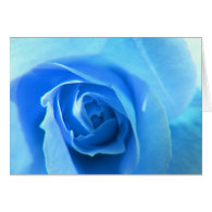 elegant, modern, cool blue rose flower. card