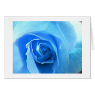 elegant, modern, cool blue rose flower. cards