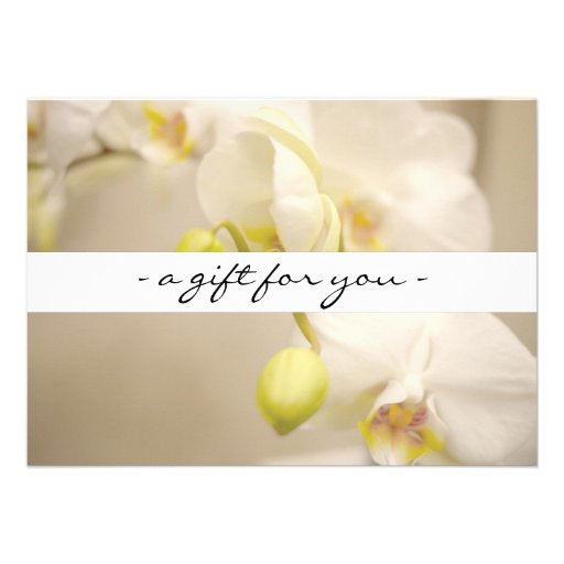 ELEGANT NAME with ORCHIDS Gift Certificate Personalized Announcements