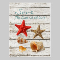 elegant ocean seashells beach save the date postcards