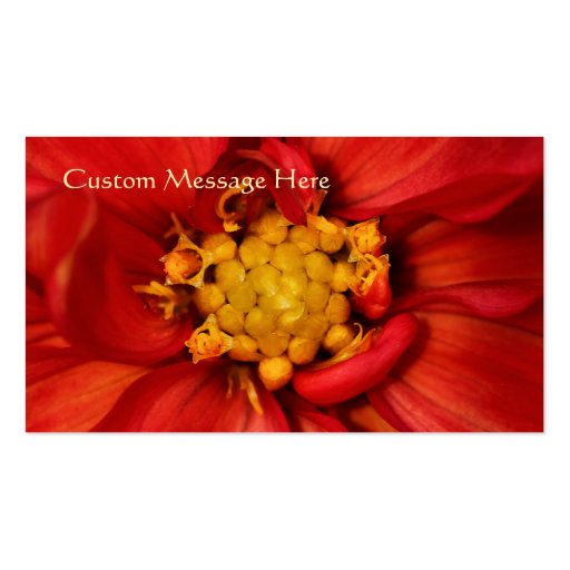 Elegant Orange Dahlia Beautiful Flowers Business Card Template (back side)