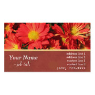 Elegant orange daisy flowers profile cards. Floral Business Card