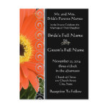 Elegant Orange Gerber Daisy Wedding Invitation Postcard