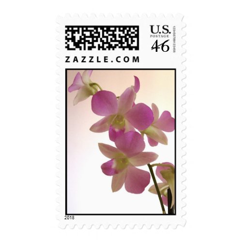 Elegant orchid stamp