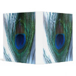 Elegant Peacock binders