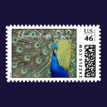 Elegant Peacock Photograph stamps