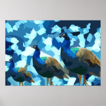 Elegant Peacock Poster
