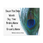 Elegant Peacock Save the Date Wedding Postcards