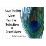 Elegant Peacock Save the Date Postcards