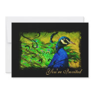 Elegant Peacock Swirl All Occasion Invitation invitation