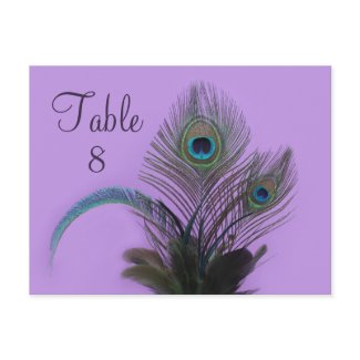 Elegant Peacock Table Number (purple) zazzle_postcard