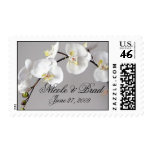 Elegant Phalaenopsis Orchid stamp