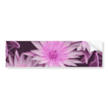Elegant pink lillies cutomizable bumper stickers