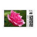 Elegant Pink Rose postage by slantedeyes Elegant Pink Rose postage