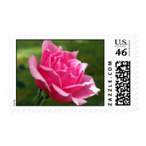 Elegant Pink Rose postage by slantedeyes Elegant Pink Rose postage