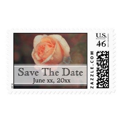 Elegant Pink Rose Save the Date Stamp